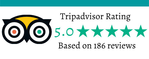 TripAdvisor
