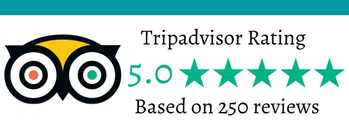 Tripadvisor - Review Badge