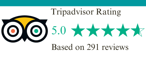 tripadvisor-rev